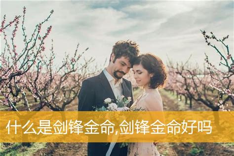 金運之命 意思|金命是什么命运 金命分为哪几种类型